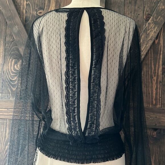 ZARA Black Sheer Blouse - Picture 6 of 13